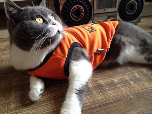 ֱΪʯҵ 㶫Ļᡰ˷硱ת